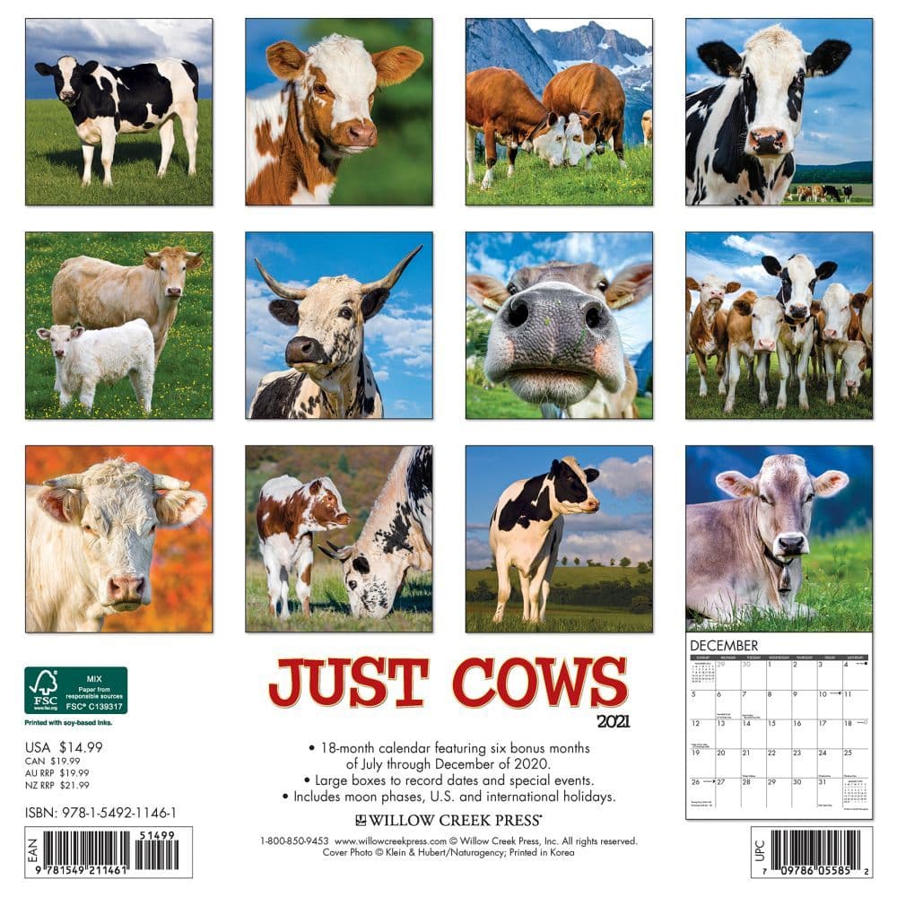 Cows Wall Calendar