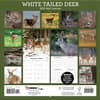 image White Tailed Deer 2025 Wall Calendar First Alternate Image