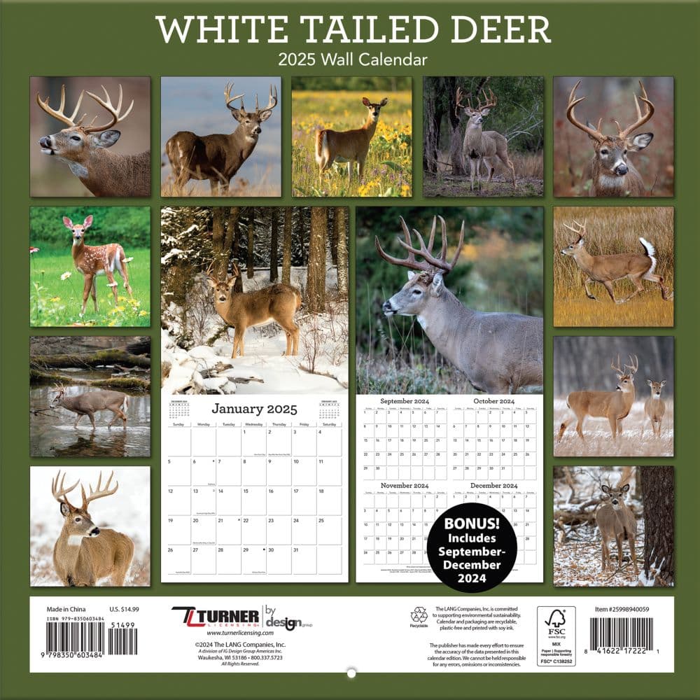 White Tailed Deer 2025 Wall Calendar First Alternate Image