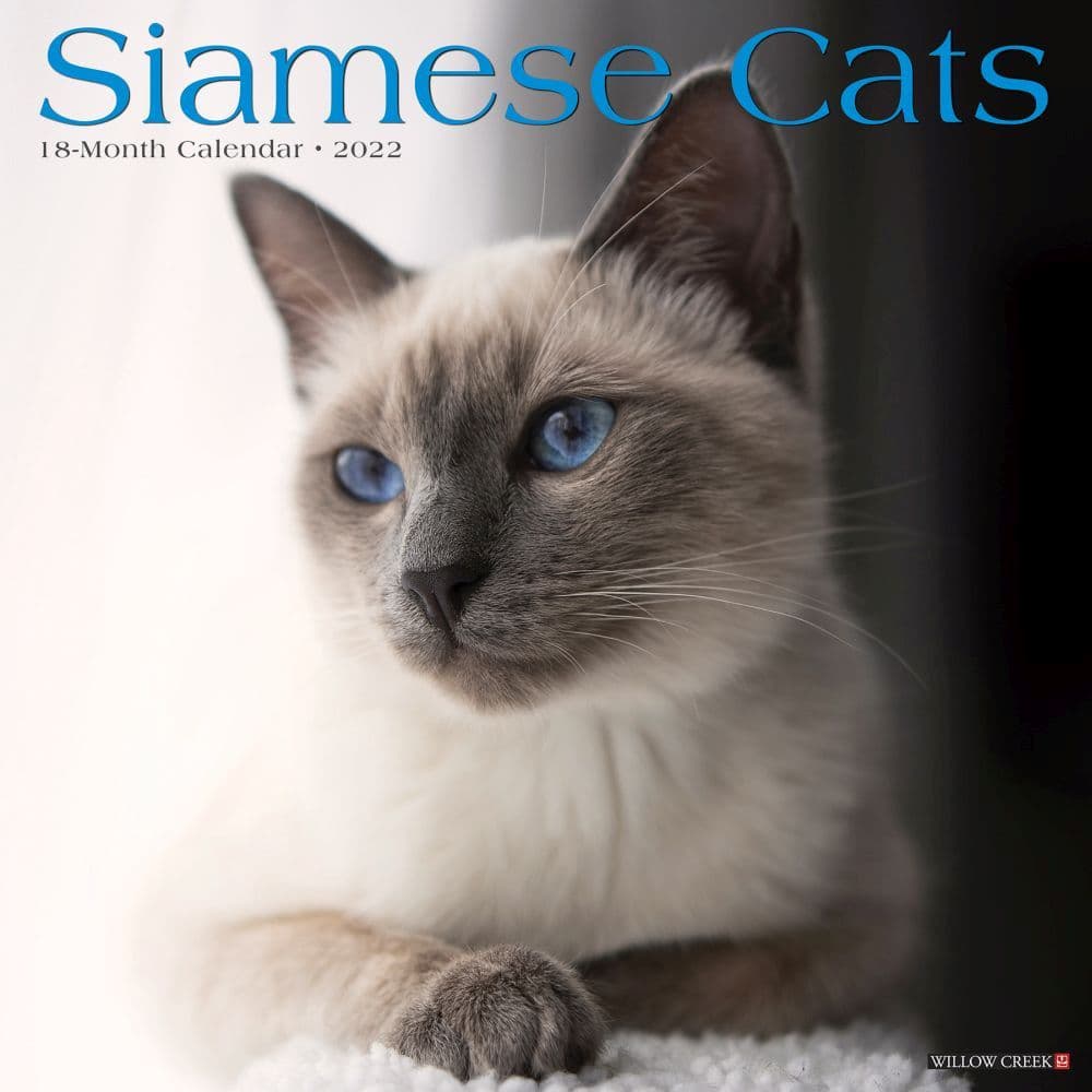 Cats Siamese 2022 Wall Calendar