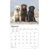 image Lab Retriever Deluxe 2025 Wall Calendar Second Alternate Image