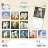 image Samoyeds 2025 Wall Calendar