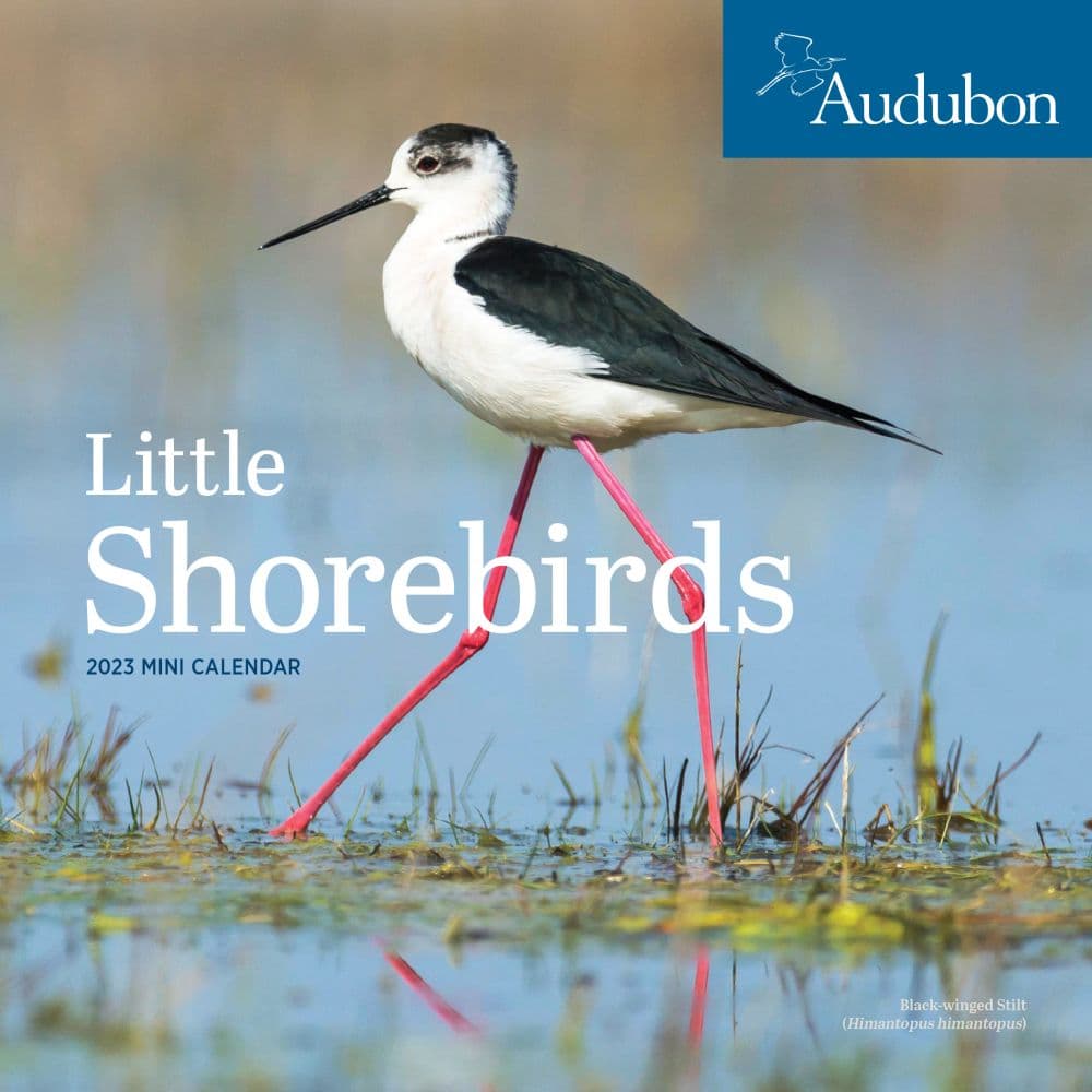 Audubon Little Shorebirds 2023 Mini Wall Calendar