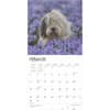 image Old English Sheepdogs 2025 Wall Calendar Second Alternate Image width=&quot;1000&quot; height=&quot;1000&quot;