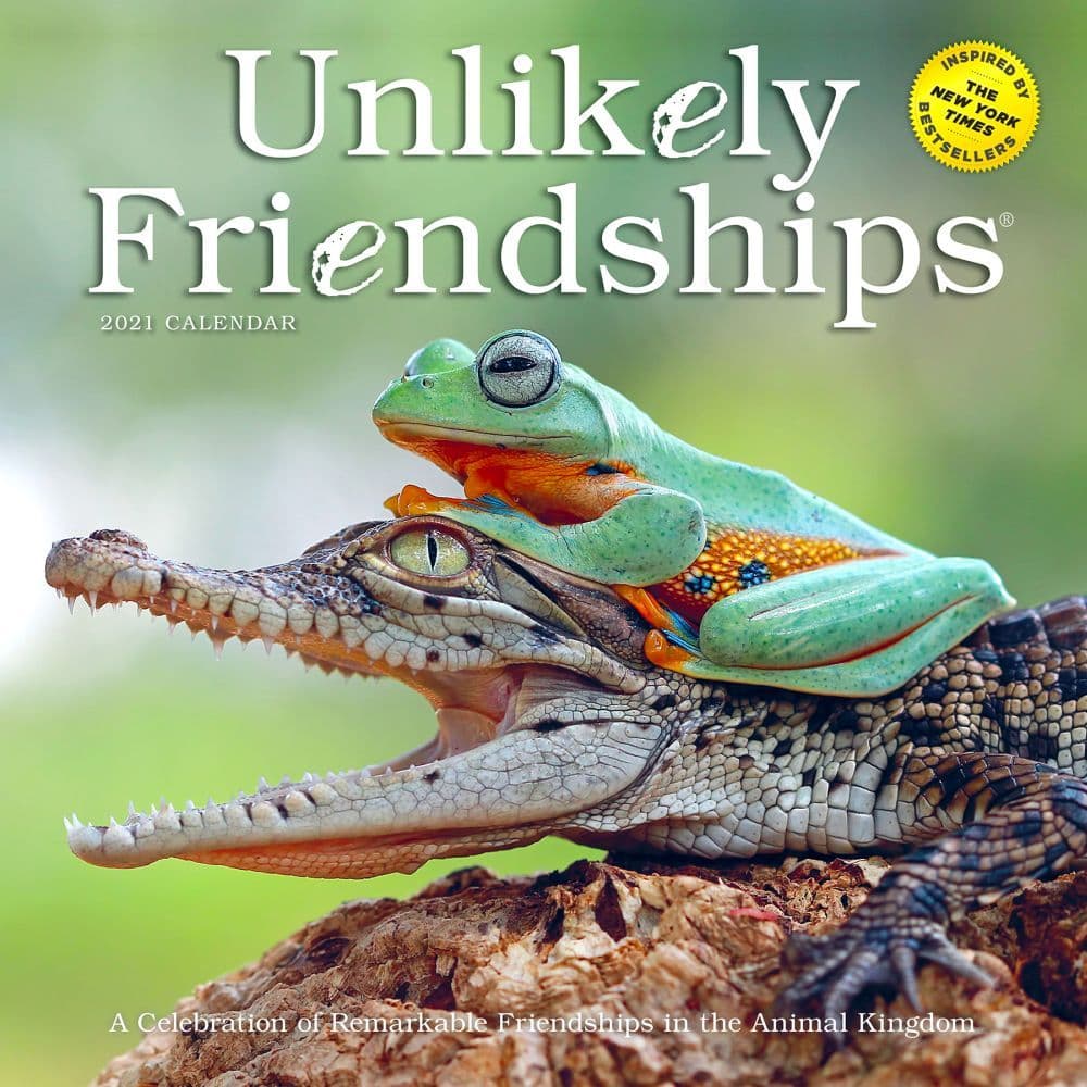 Unlikely Friendships Wall Calendar