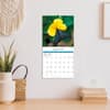 image Butterflies 2027 Mini Wall Calendar