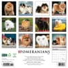 image Just Pomeranians 2025 Wall Calendar