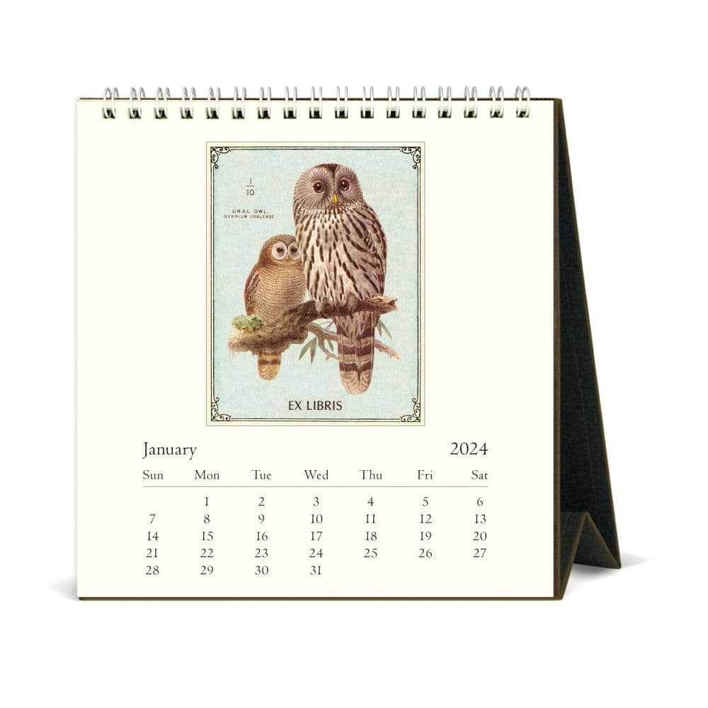 Owls Desk 2025 Easel Desk Calendar