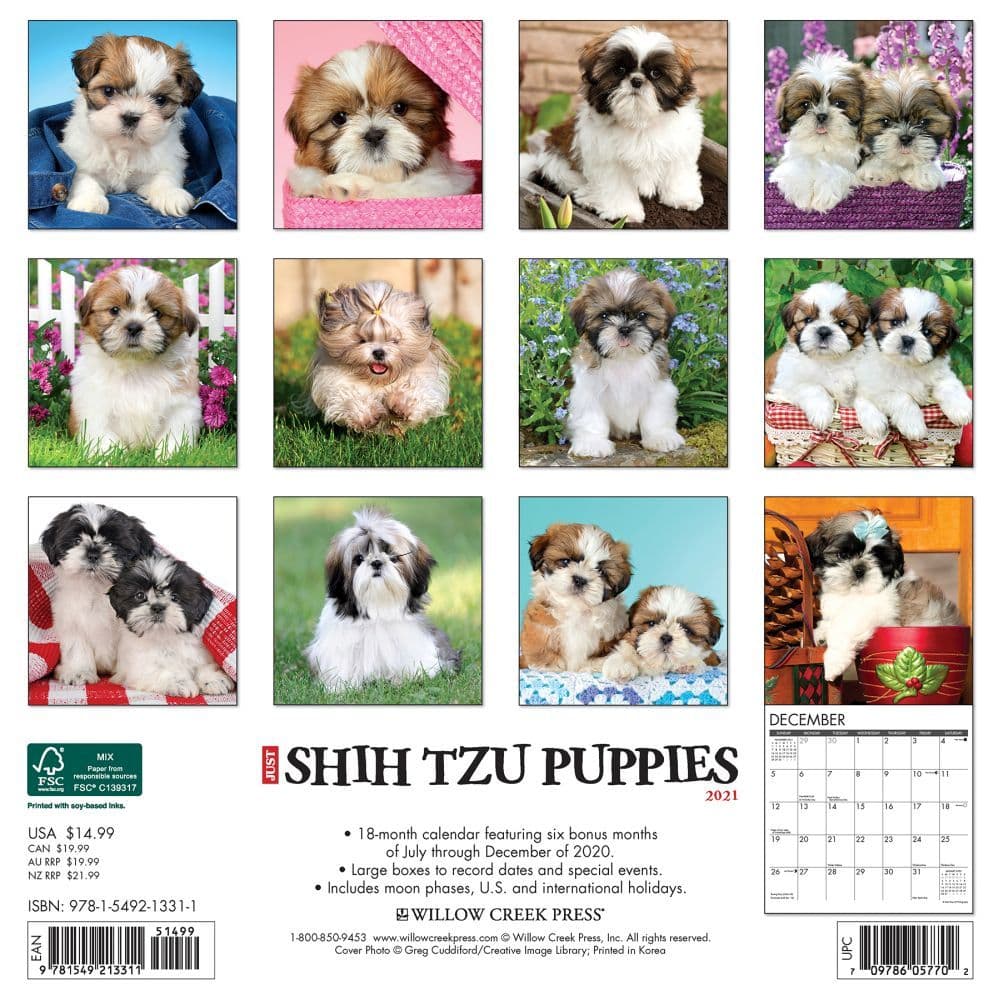 Just Shih Tzu Puppies Wall Calendar