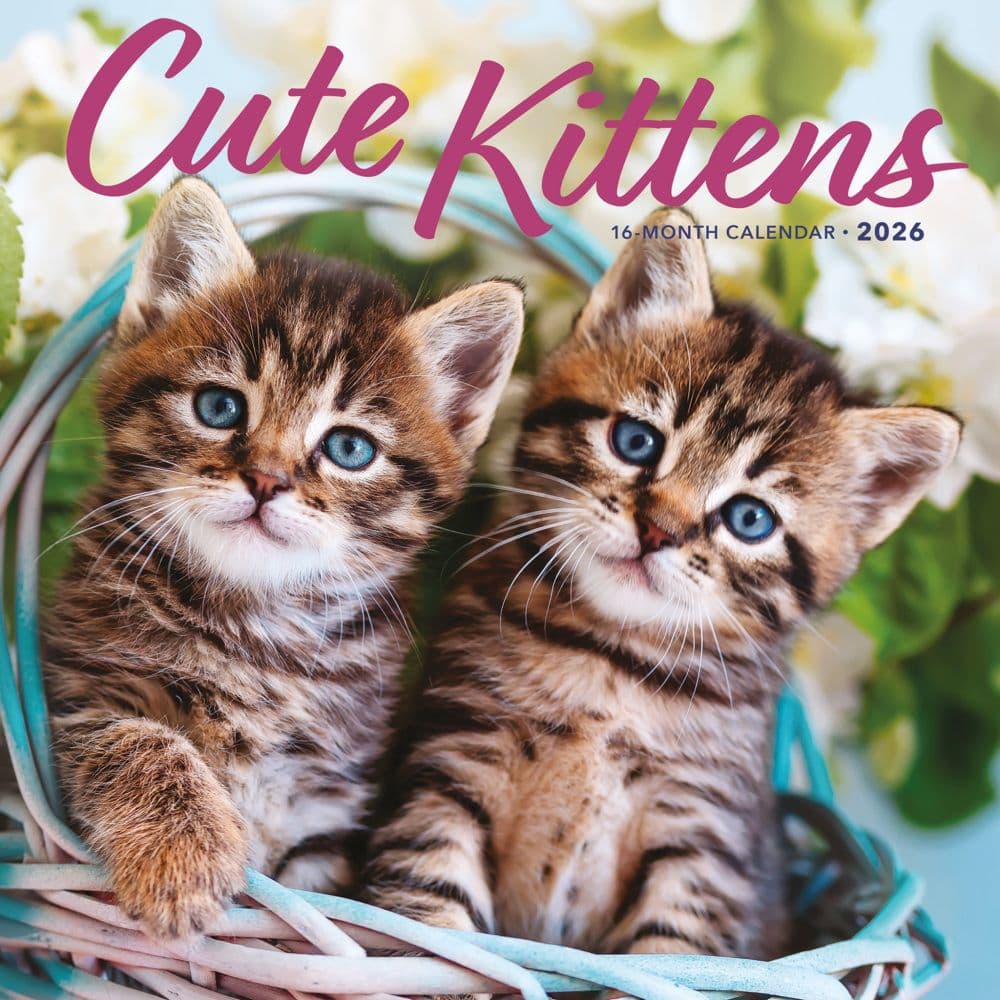 Kittens Cute 2026 Wall Calendar Main Image
