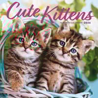 image Kittens Cute 2026 Wall Calendar Main Image