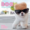 image Boo 2024 Wall Calendar Main Product Image width=&quot;1000&quot; height=&quot;1000&quot;