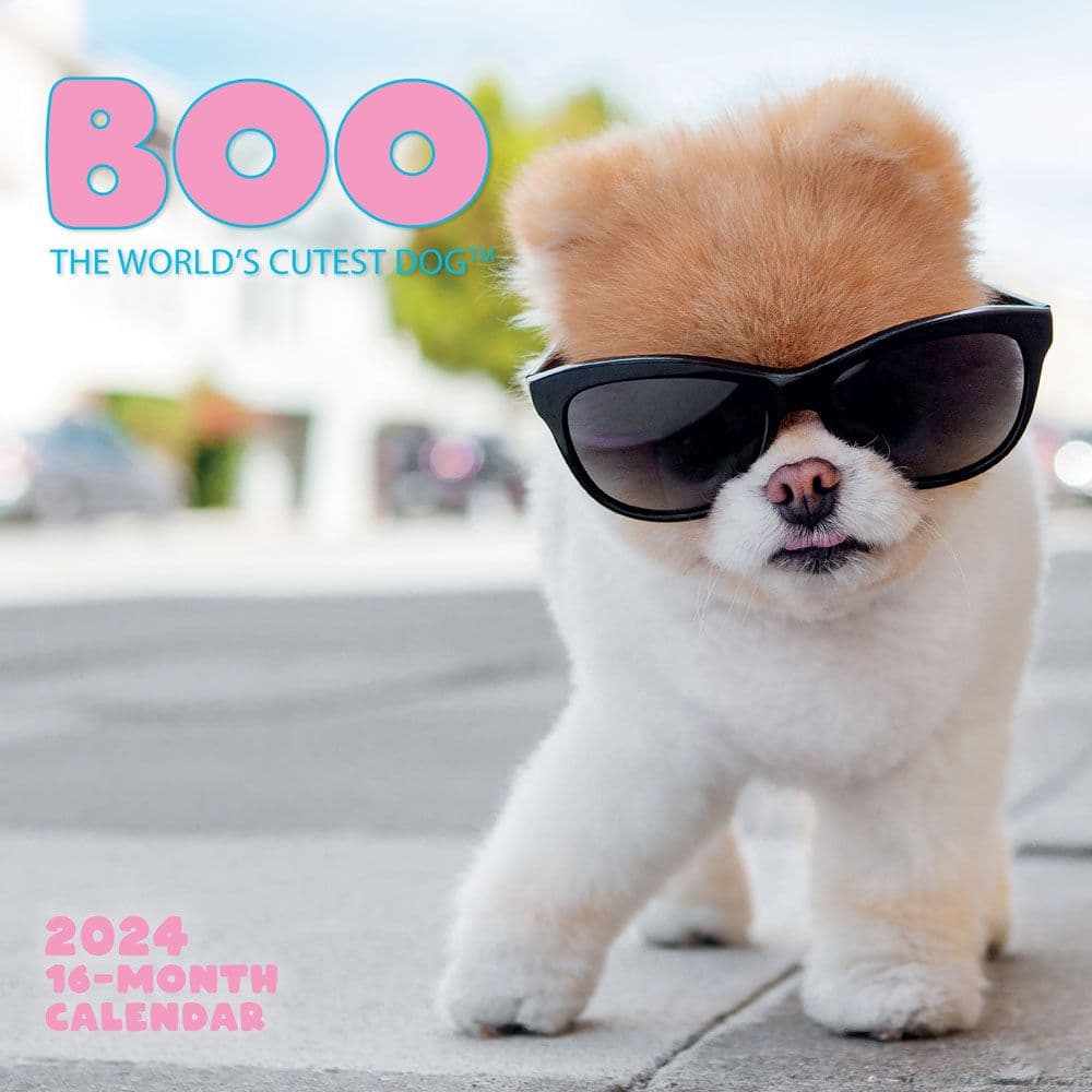 Boo 2024 Wall Calendar Main Product Image width=&quot;1000&quot; height=&quot;1000&quot;