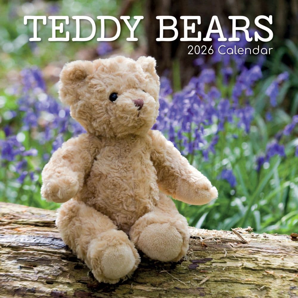 Teddy Bears 2026 Wall Calendar  Main Image