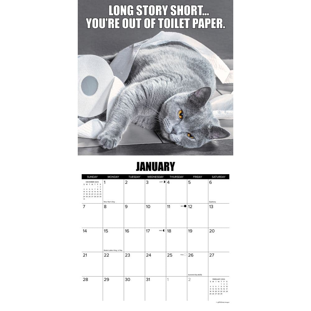 CatAstrophe 2024 Wall Calendar