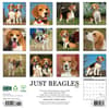 image Just Beagles 2025 Wall Calendar