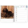 image Dachshunds 2025 Engagement Planner Second Alternate Image