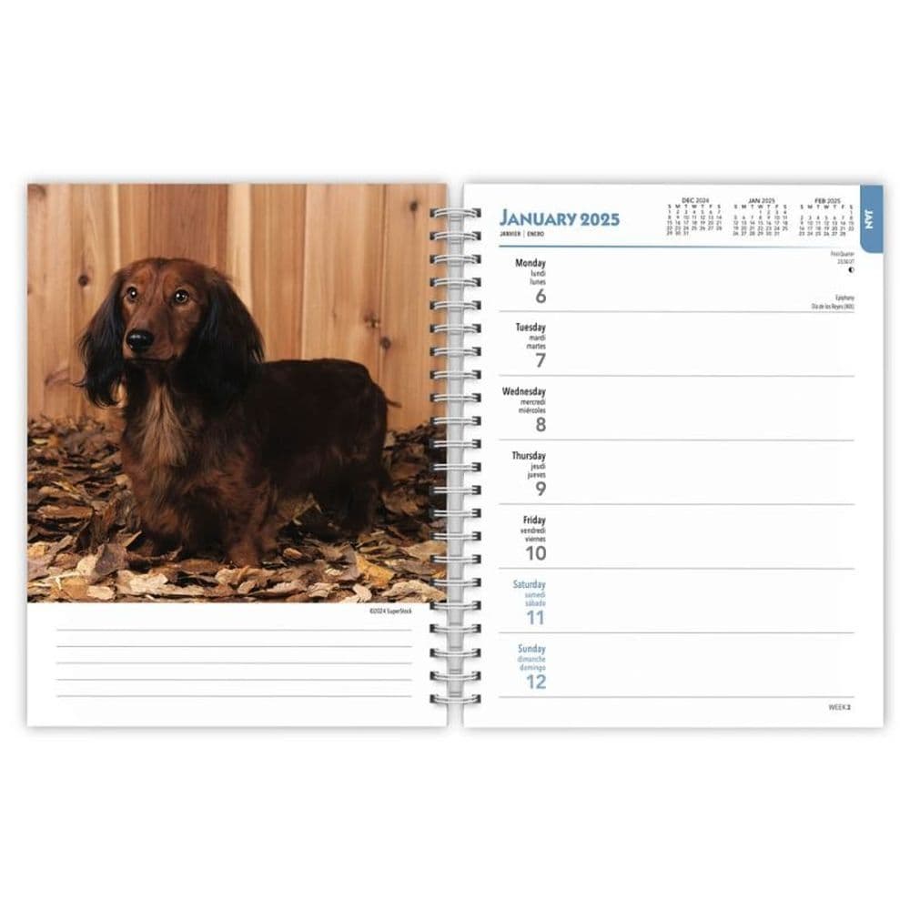 Dachshunds 2025 Engagement Planner Second Alternate Image