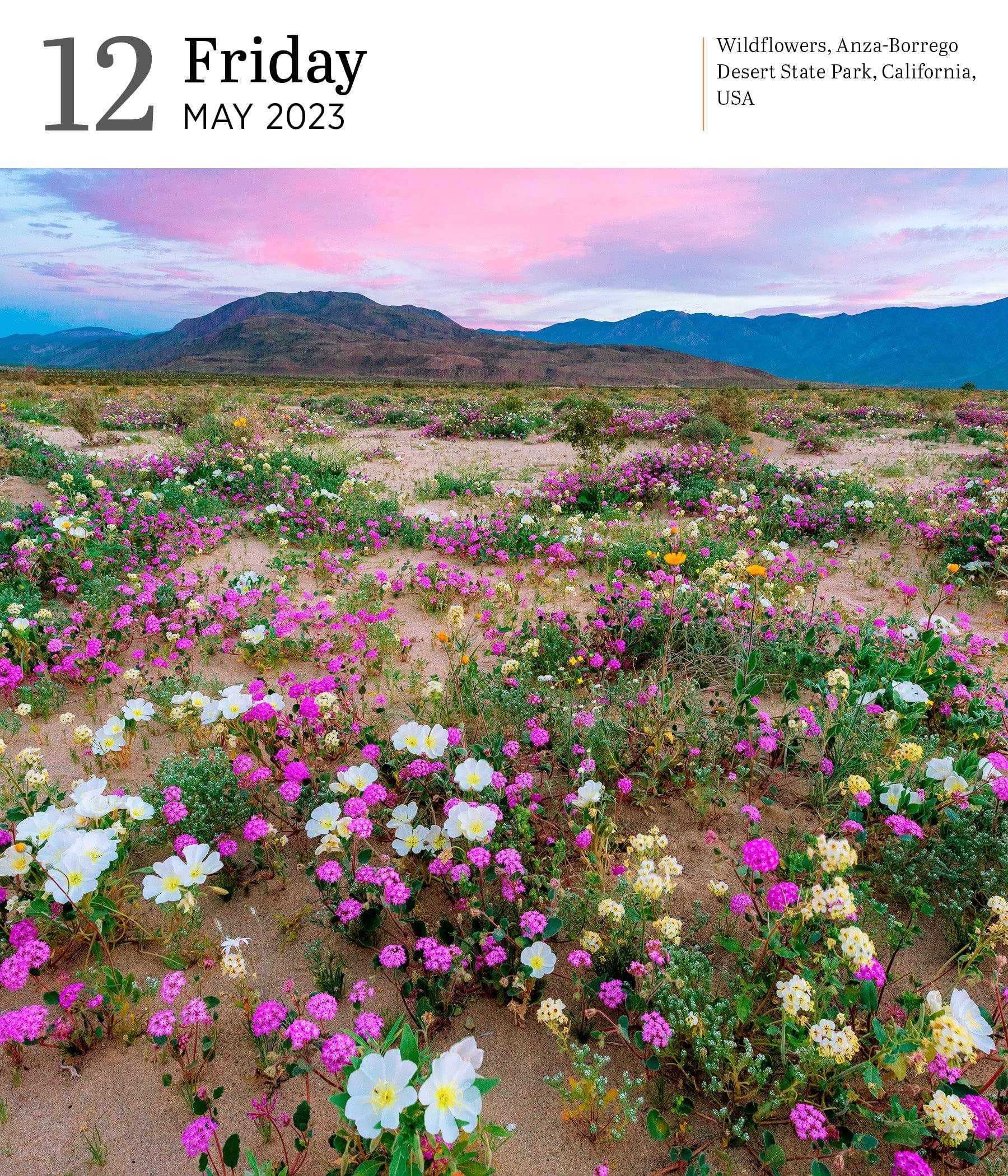 Audubon Nature 2023 Page A Day Gallery Calendar Calendars