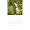image Cavapoos 2027 Wall Calendar Second Alternate Image
