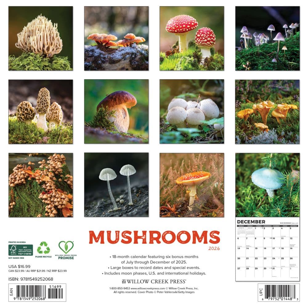 Mushroom Art 2026 Wall Calendar First Alternate Image