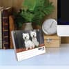 image Just Westies 2025 Desk Calendar on a desk