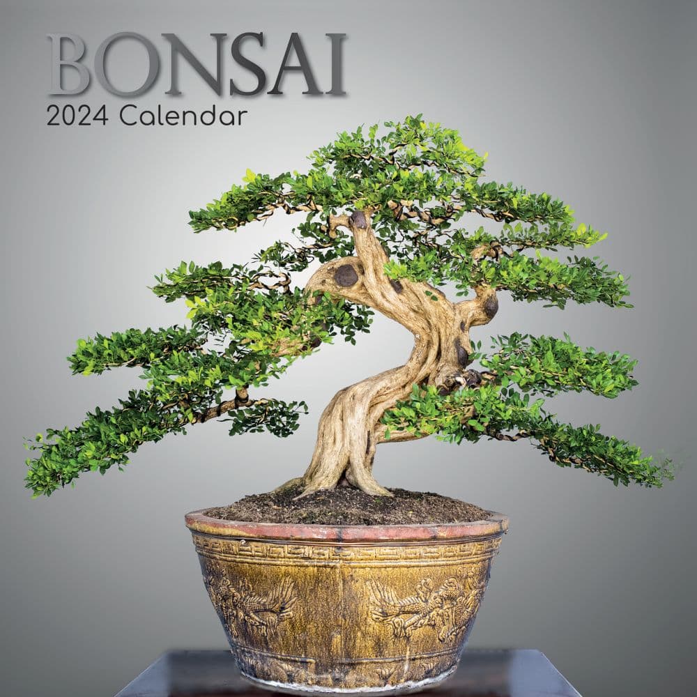 Bonsai 2024 Wall Calendar Main Product Image width=&quot;1000&quot; height=&quot;1000&quot;