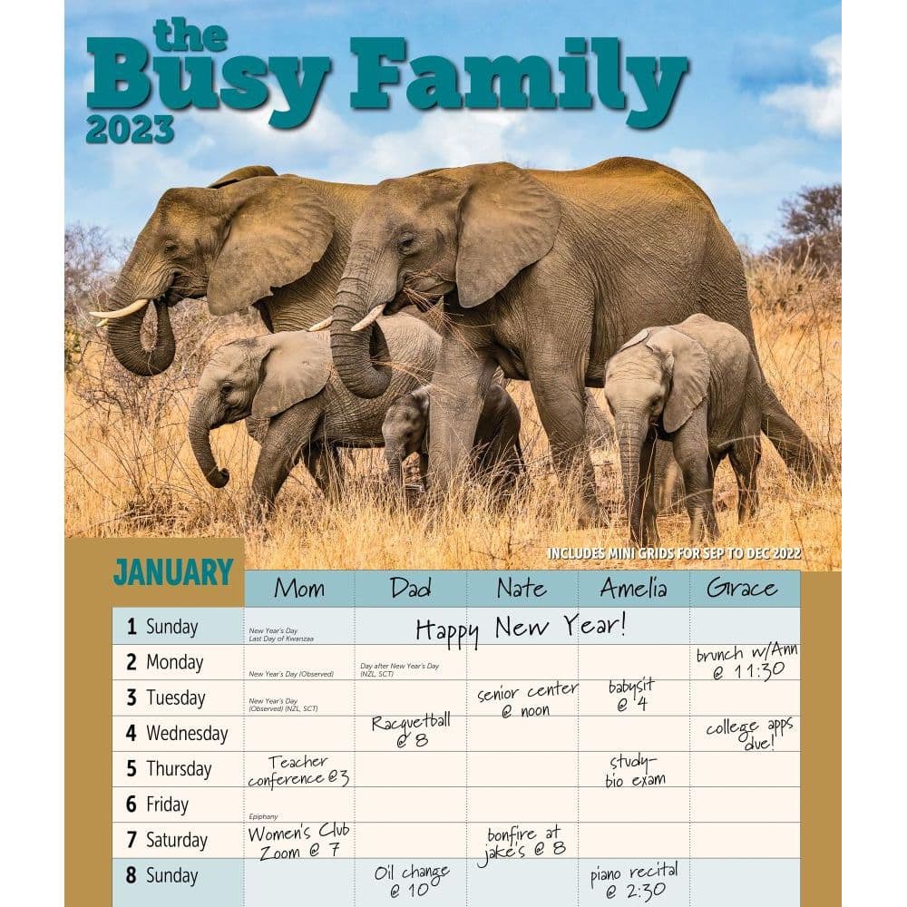 Busy Family 2023 Wall Calendar