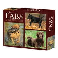 image Just Labs 2026 Desk Calendar Main Product Image