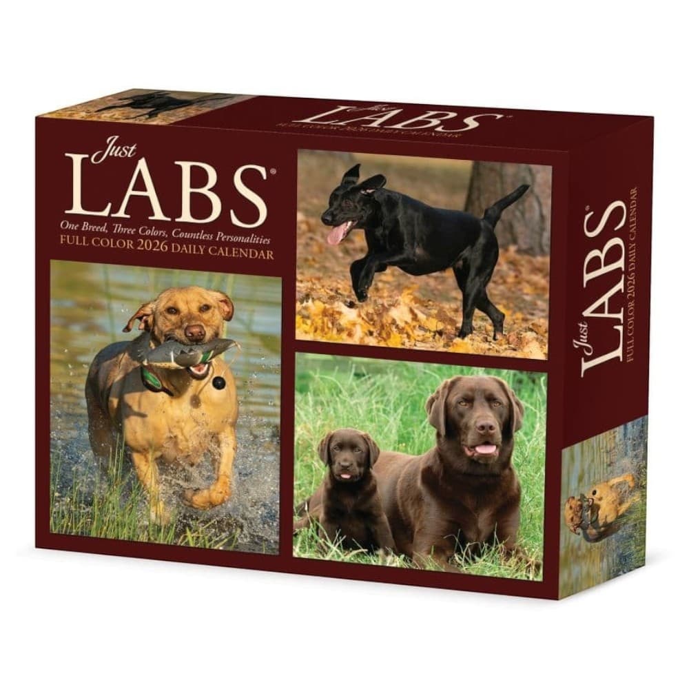 image Just Labs 2026 Desk Calendar Main Product Image