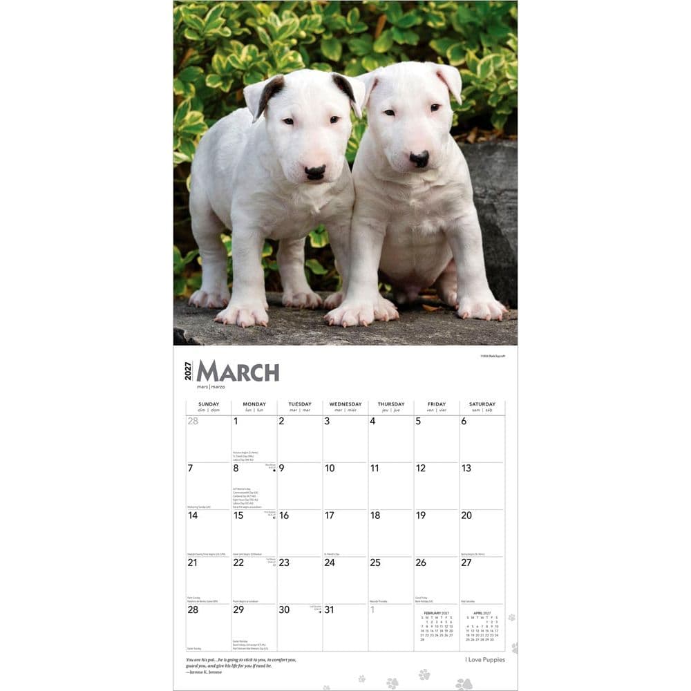 I Love Puppies 2027 Wall Calendar Second Alternate Image