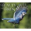 image Backyard Birds 2027 Desk Calendar Fourth Alternate Image