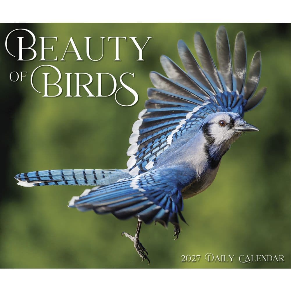 Backyard Birds 2027 Desk Calendar Fourth Alternate Image