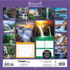 image Waterfalls 2024 Wall Calendar First Alternate  Image width=&quot;1000&quot; height=&quot;1000&quot;