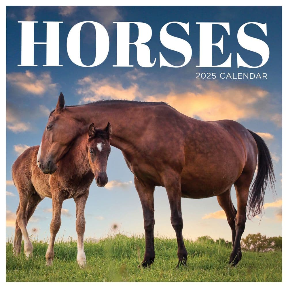 Horses 2025 Wall Calendar