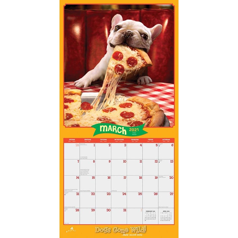 Avanti Dog Days Wall Calendar