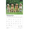 image Golden Retrievers Deluxe 2025 Wall Calendar Third Alternate Image