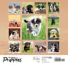 image Puppies 2024 Wall Calendar First Alternate Image width=&quot;1000&quot; height=&quot;1000&quot;