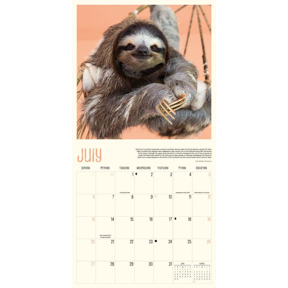 Sloth Life 2025 Wall Calendar Third Alternate Image width="1000" height="1000"