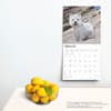 image West Highland White Terriers 2025 Wall Calendar Fourth Alternate Image width=&quot;1000&quot; height=&quot;1000&quot;