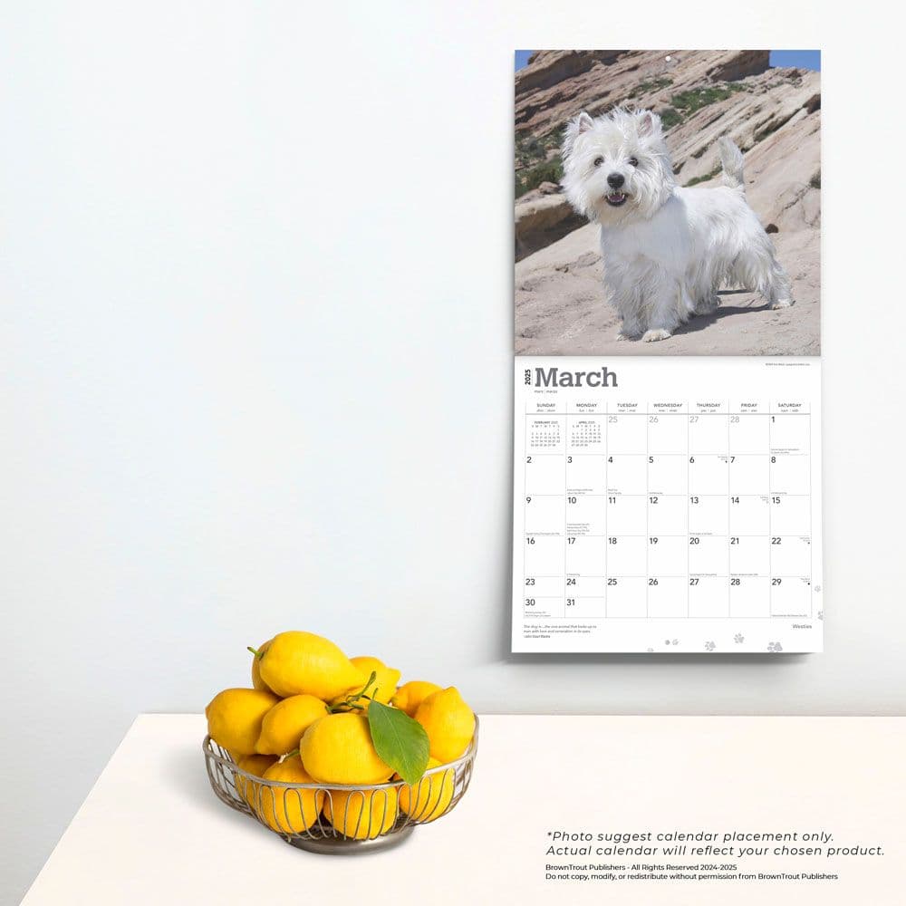 West Highland White Terriers 2025 Wall Calendar