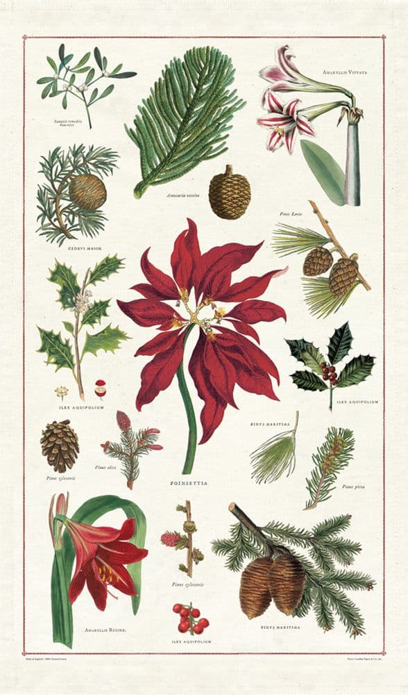Cavallini Papers & Co. Christmas Botanica Tea Towel