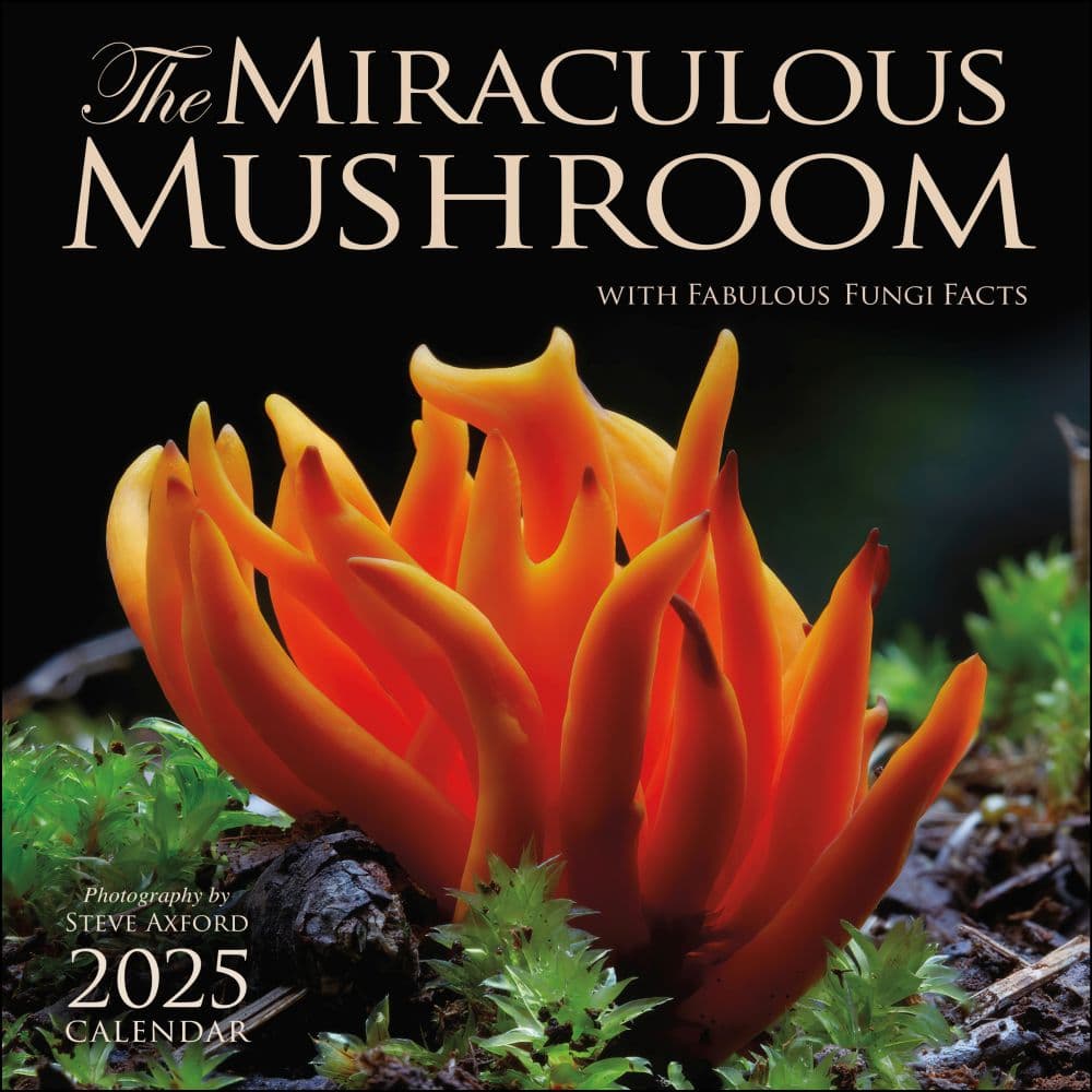 Miraculous Mushroom 2025 Wall Calendar - Calendars.com