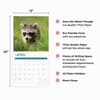 image Baby Raccoons 2025 Wall Calendar Fourth Alternate Image width="1000" height="1000"