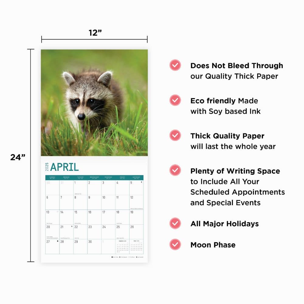Baby Raccoons 2025 Wall Calendar Fourth Alternate Image width="1000" height="1000"