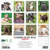 image Just Pit Bull Terrier Puppies 2025 Wall Calendar