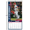 image MLB St Louis Cardinals 2027 Wall Calendar Fourth Alternate Image