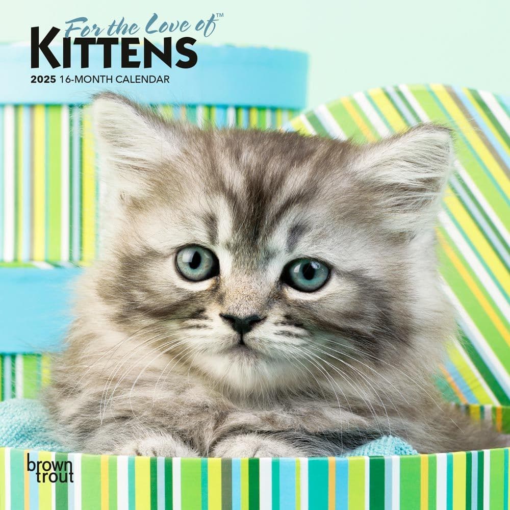 Kittens Love of 2025 Mini Wall Calendar Main Product Image width=&quot;1000&quot; height=&quot;1000&quot;