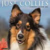 image Collies 2026 Wall Calendar Main Image