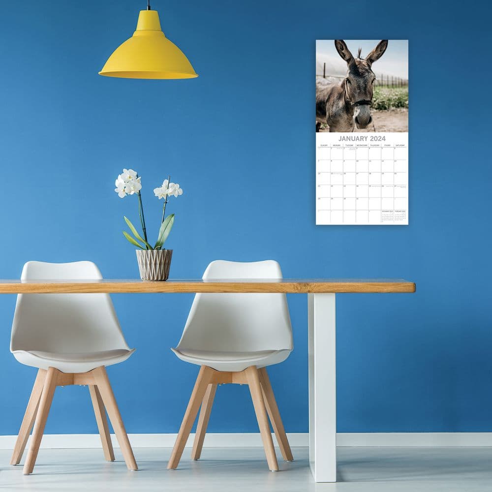 Donkeys 2024 Wall Calendar - Calendars.com